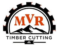 mvr-web.webp