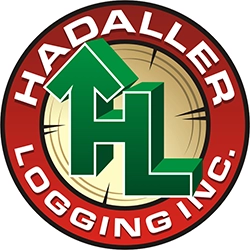 hadaller-web.webp