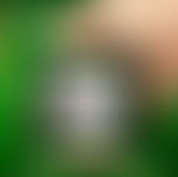 สล็อตออนไลน์: เพราะอะไรถึงเป็นที่ชื่นชอบอย่างมาก