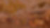 Web background cf copy.jpg