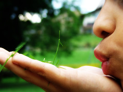 55917472_ed7a8f51b2_m