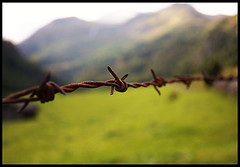 barrier