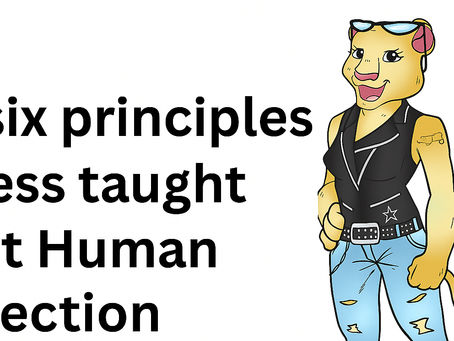 How Lioness Teaches Human Connection