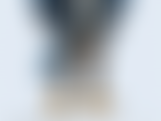 An illustrated anthropomorphic falcon stands confidently in a navy blazer, white dress shirt, striped tie, and gray slacks. His wings are spread slightly behind him, and his sharp golden beak and intense eyes convey focus and authority. He has bright yellow talons and a poised, professional stance. Below him, text reads: “He believes that preparation is a form of respect. By seeing the big picture, Falcon prevents others from walking blindly into storms they could have avoided. His strength lies not in speed or force, but in foresight—an ability earned through discipline, patience, and relentless attention to detail.”