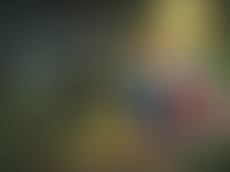 The Shore That Came Later