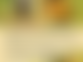 Illustrated scene of a rainbow-maned unicorn (Ffyo) and a small brown owl wearing glasses and a graduation cap (Clarifier) walking along a winding dirt path. Rocks are scattered along the trail. In the top image, Ffyo rushes ahead while Clarifier gestures calmly. In the lower image, both walk together down a now-cleared path. Text beside them describes Clarifier teaching Ffyo how removing one obstacle clarifies the entire road forward.