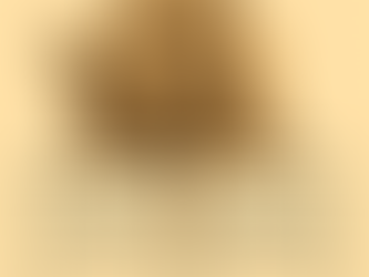 A sepia-toned illustrated poster titled “The Bridge Builder Cards.” At the top, large serif text displays the title. Below it is an anthropomorphic wolf Ranger wearing a hooded cloak and a quiver of arrows, looking calmly to the side, framed by a soft circular halo. Beneath the wolf are four bordered cards arranged in a grid. Each card contains a heading and reflective question: “Understanding—What emotion might be hiding beneath these words?” “Reflection—What truth might I be avoiding because it makes me uncomfortable?” “Repair—What small act could begin restoring trust today?” and “Harmony—How can we keep this bridge strong—even in the next storm?” The overall design resembles vintage parchment with warm, muted tones.