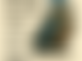 A stylized blue jay character stands on the right side of the image, dressed in an olive-green cloak and a belt decorated with four colored gemstones. The bird has sharp, focused eyes and vibrant blue feathers with dark markings. On the left side, bold serif text reads: “Say it true. Say it clear. Say it with intent.” Below it, smaller text says: “Sometimes, clarity isn’t a map. Sometimes, clarity is a voice that cuts a path through the dark.” The background is a soft cream color.