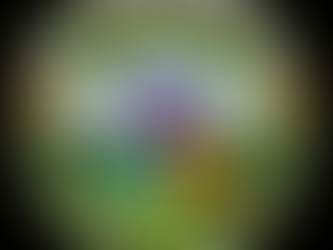 Circular Raised by Rangers logo featuring an elephant and a raccoon standing hand-in-hand in a green valley with a purple geometric mountain behind them. The banner across the top reads “ONE STEP,” and the bottom text says “Every journey begins with one step.” Bright flowers decorate the sides, adding a cheerful, welcoming feel.