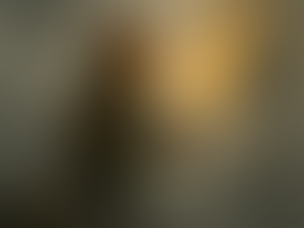 An anthropomorphic fox ranger stands on the edge of a misty cliff, holding a glowing torch that casts warm light through the fog. Wearing a green cloak and a brown backpack, the fox gazes into the swirling mist where faint tree shapes emerge. The scene symbolizes courage, clarity, and balance — a visual metaphor for facing “the fugglies” between flying and falling in the Raised by Rangers world.