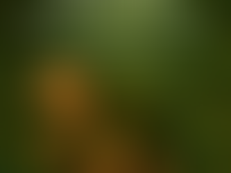 Elderstone — The Mosswater Sentinel