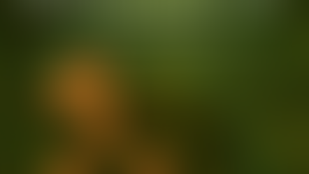 Elderstone — The Mosswater Sentinel