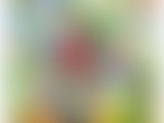 The Day Ffyo Tried to Fix Everything