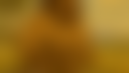 Burlow Broadstride — The Prairie Steadyheart