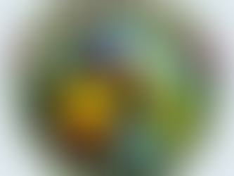 The Responsibility of Care