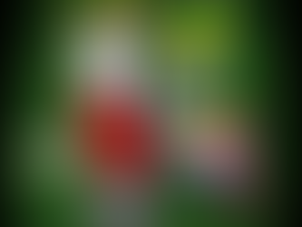 A colorful cartoon unicorn-butterfly hybrid stands in the center, emerging from a swirling gray tornado that begins at her waist. She has rainbow hair, a golden horn, and large vibrant wings in green, yellow, pink, and teal. She wears a red tank top with a small black heart emblem. The background is dark green and filled with silhouettes of flying mosquito-like shapes. White text at the top reads: “Ffyo fights fugglies every day, and she has to – they never rest. But November through January is fuggly season.” Text at the bottom reads: “They swarm thick as mosquitos after a warm rain, so heavy they feel like a cloud you have to wade through.”