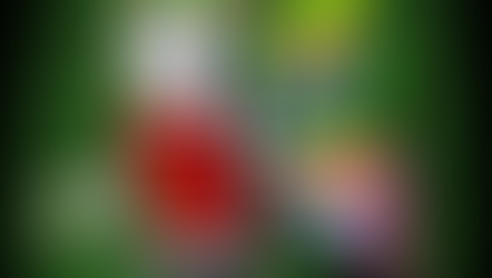 A colorful cartoon unicorn-butterfly hybrid stands in the center, emerging from a swirling gray tornado that begins at her waist. She has rainbow hair, a golden horn, and large vibrant wings in green, yellow, pink, and teal. She wears a red tank top with a small black heart emblem. The background is dark green and filled with silhouettes of flying mosquito-like shapes. White text at the top reads: “Ffyo fights fugglies every day, and she has to – they never rest. But November through January is fuggly season.” Text at the bottom reads: “They swarm thick as mosquitos after a warm rain, so heavy they feel like a cloud you have to wade through.”