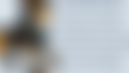 “A regal, fantasy-style creature with the body of a lion, the face of a fox, and tall golden antlers stands proudly on the left side of the image. It wears ornate blue and gold armor, a flowing blue scarf, and a tall black top hat decorated with feathers. Water splashes around its boots as it steps forward. On the right side, a block of text reads: ‘And that is why the Empire Network thrives. Not because its Emperor rules from above, but because he leads from below—rooted, aligned, unwavering. His anchored guidance holds the entire lattice together, allowing every Ranger, every Ffyo, every kingdom to rise, explore, stumble, and grow—always knowing that the ground beneath them will remain steady, because the Emperor himself is the anchor.’ The background is pale blue.”