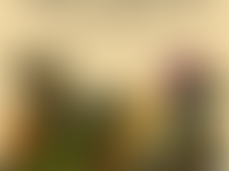 A warm, parchment-style illustration shows six cartoon Rangers standing together in a playful group. From left to right: Brindleback the donkey smiles beside his wooden wheel; Midnight Briar the skunk stands confidently with arms crossed; Woolenstride Mira the sheep holds her shepherd’s staff; Nimbushard the colorful, spiked lizard ranger wears an explorer hat; Azurecall the blue jay ranger stands alert with her signal-stone belt; and Leafjump Quillon the green grasshopper crouches cheerfully in front. Above them, text reads: “Even in a world built on clarity, courage, and compassion… the Rangers still have a silly side. If you’ve got a Ranger-worthy laugh or a tiny moment of chaos to share – we love a good funny.”