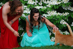 Prom Portrait