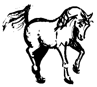 Art school horse drawing