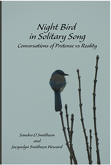Night Bird Front Cover2.jpg