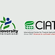 Looking for a rewarding career in Uganda? Checkout the available The Alliance of Bioversity International Jobs today. Easily apply for current vacancies on AfriCareers.net, and get hired.