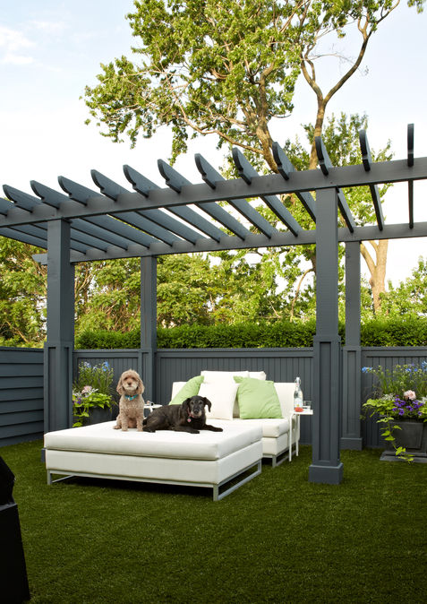 Backyard seating and pergola