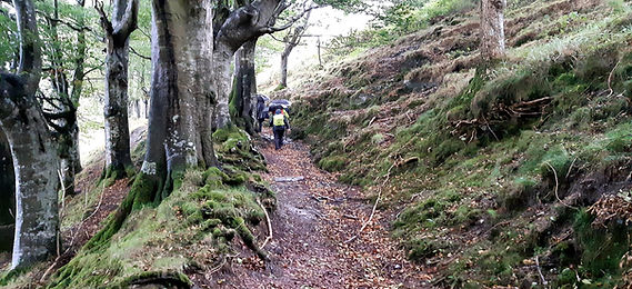 20211003_093806.jpg