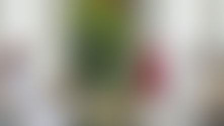 UAE and Qatar: Soft power to replace the cold war