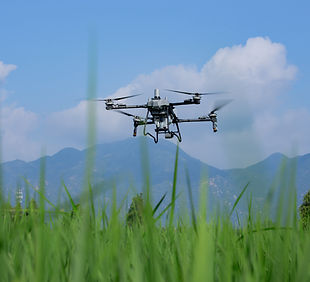 DJI Agras T70P Sprühdrohne von Agrarpiloten in der Schweiz_edited.jpg