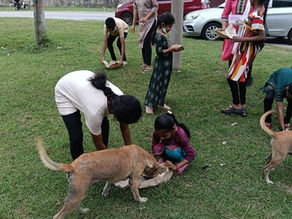 Malaysia, Animal Feeding by SSSGC Sungai Siput