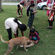 Malaysia, Animal Feeding by SSSGC Sungai Siput