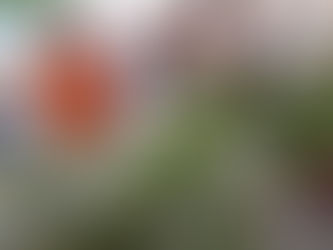 "Waste Not Want Not", A Continuation by SSSGC Taman Daya, Malaysia