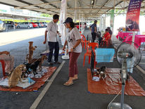 Be A Buddy, Adopt A Furry by SSSGC Malaysia