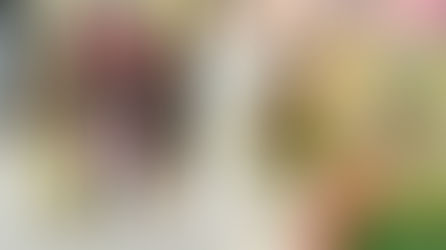 Malaysia - Grama Seva by SSSGC ALMA, BM & Penang