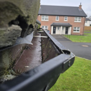 Roof cleaning, Northern Ireland, Co Antrim, Gutters, Gutter Cleaning, Pressure washing, Roof Scraping, Ballymena, Biocide, Exterior Cleaning, Mitchell Property Maintence, Antrim, Randalstown, Ballymoney, Window Cleaning, Soft washing, Fascia Board cleaning.