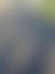 Roof cleaning antrim