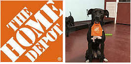 The Home Depot