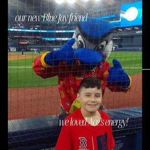Tonight At The Ballgame: Red Sox vs. Blue Jays