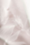 iStock-1215041154.jpg