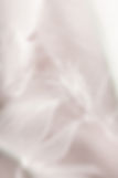 iStock-1215041154.jpg