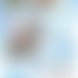 ウミイロ日和 VOL.25 開催のお知らせ（4月25日）