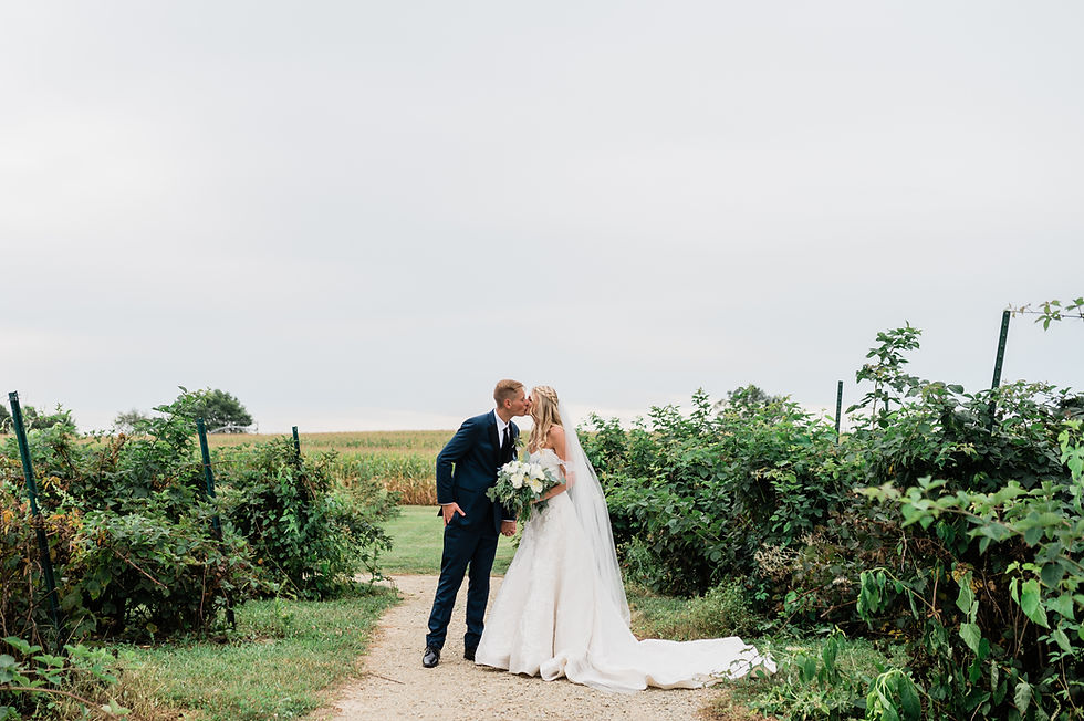 Bride and groom kissing under overcast sky in vineyard