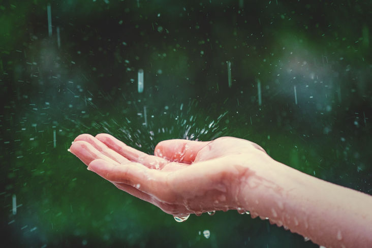 Manos en la lluvia