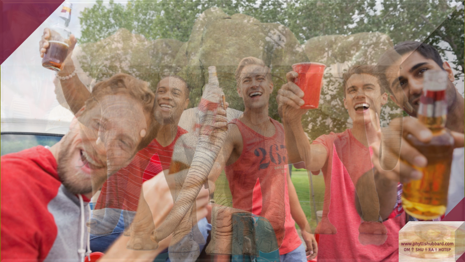A multicultural group of males holding beer with three elephants in the background.