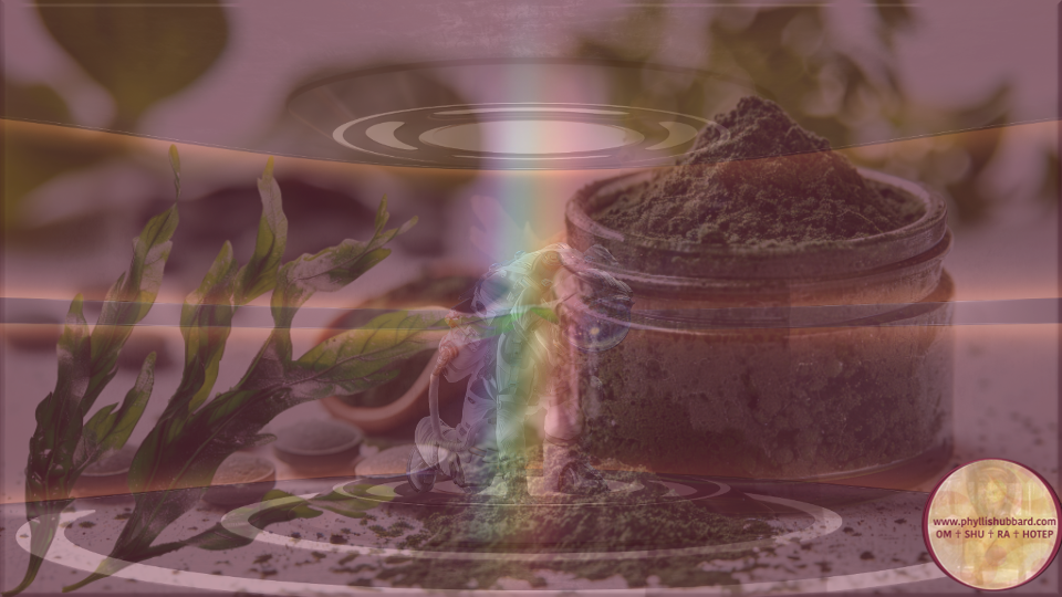 A collage of spirulina