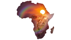 "Until the lions have their own historians, the history of the hunt will always glorify the hunter."