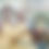 Thumbnail: Two Black women business owners with a faded image of a Black female surfer