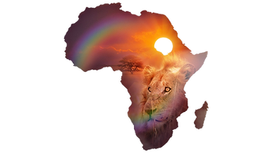 African Proverb: "Until the lions have their own historians, the history of the hunt will always glorify the hunter."